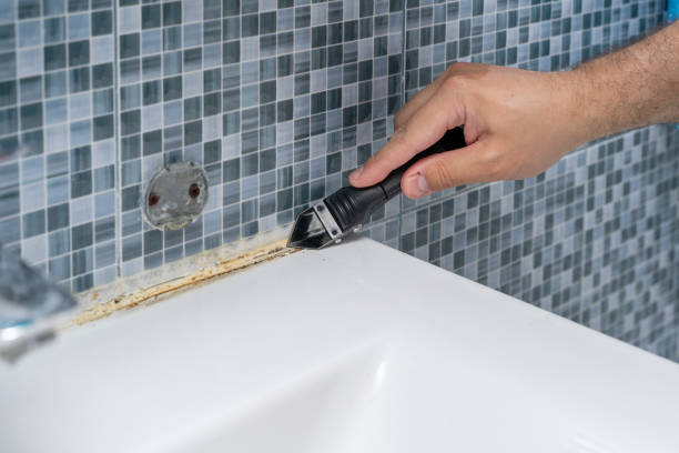 Best Mold Removal Specialists  in Springville, VA